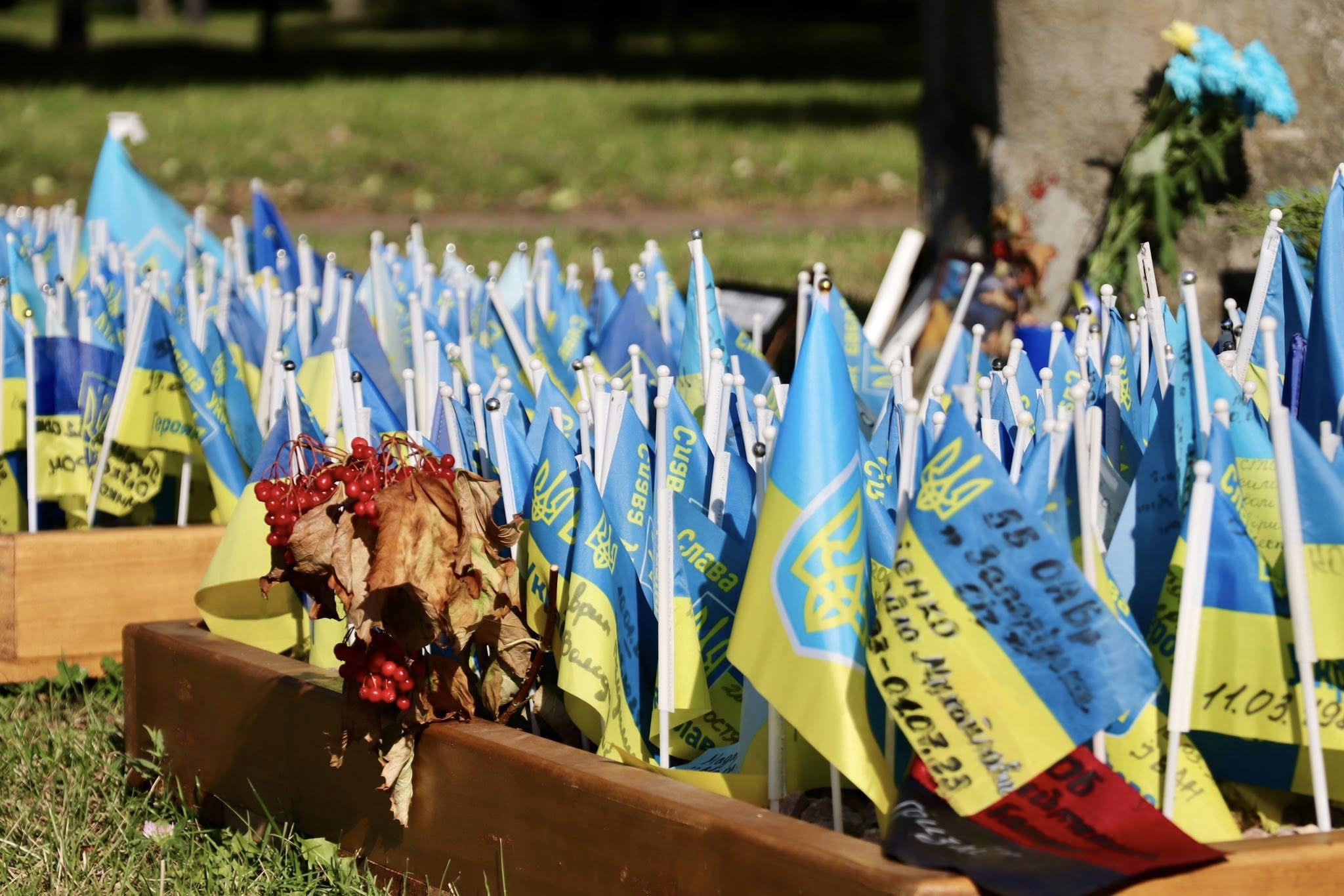 Вшанування пам’яті захисників України 29 серпня в ПАУ