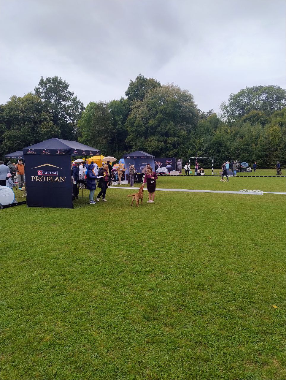 photo_2025-09-29_08-36-00