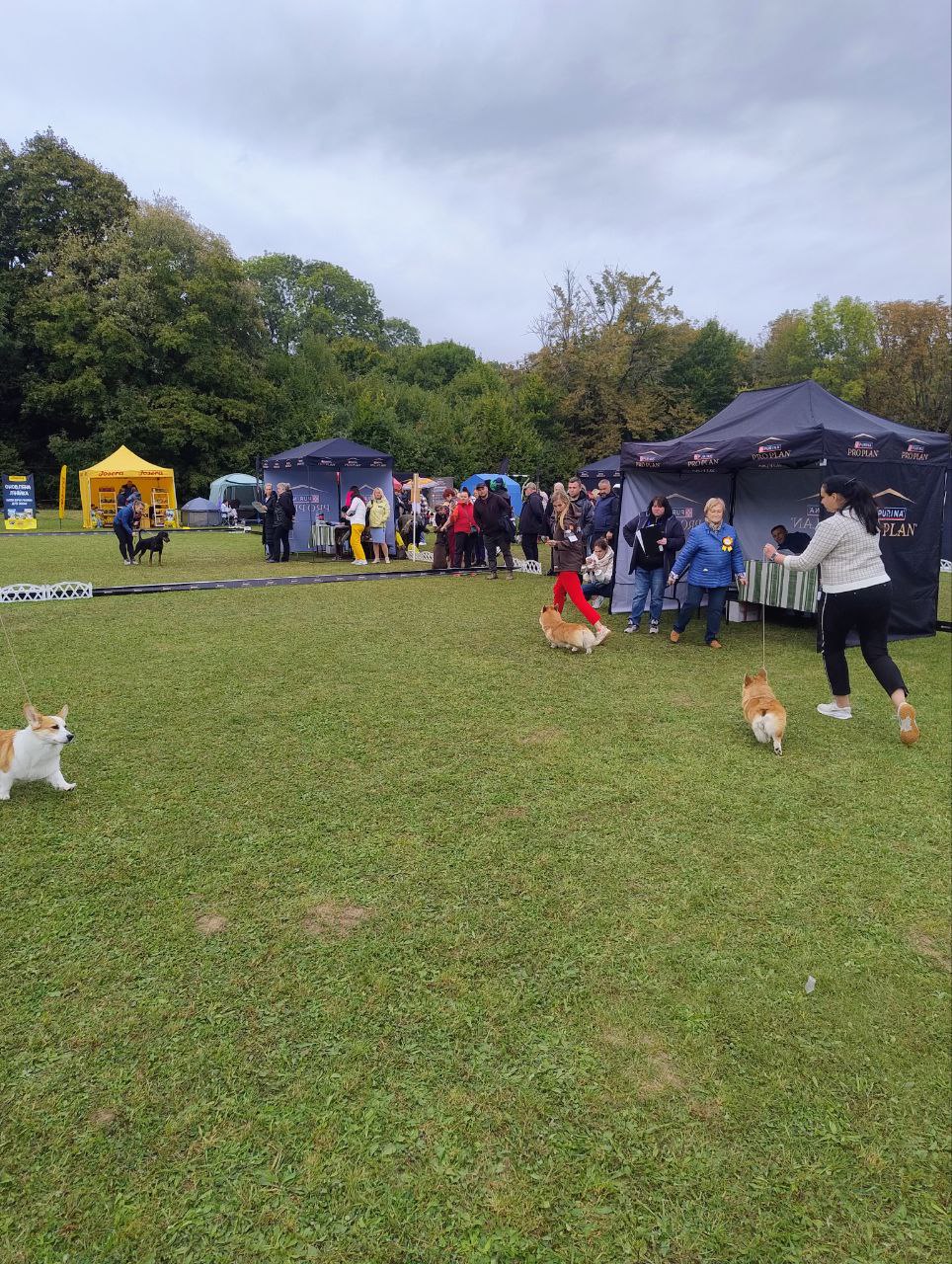 photo_2025-09-29_08-36-01