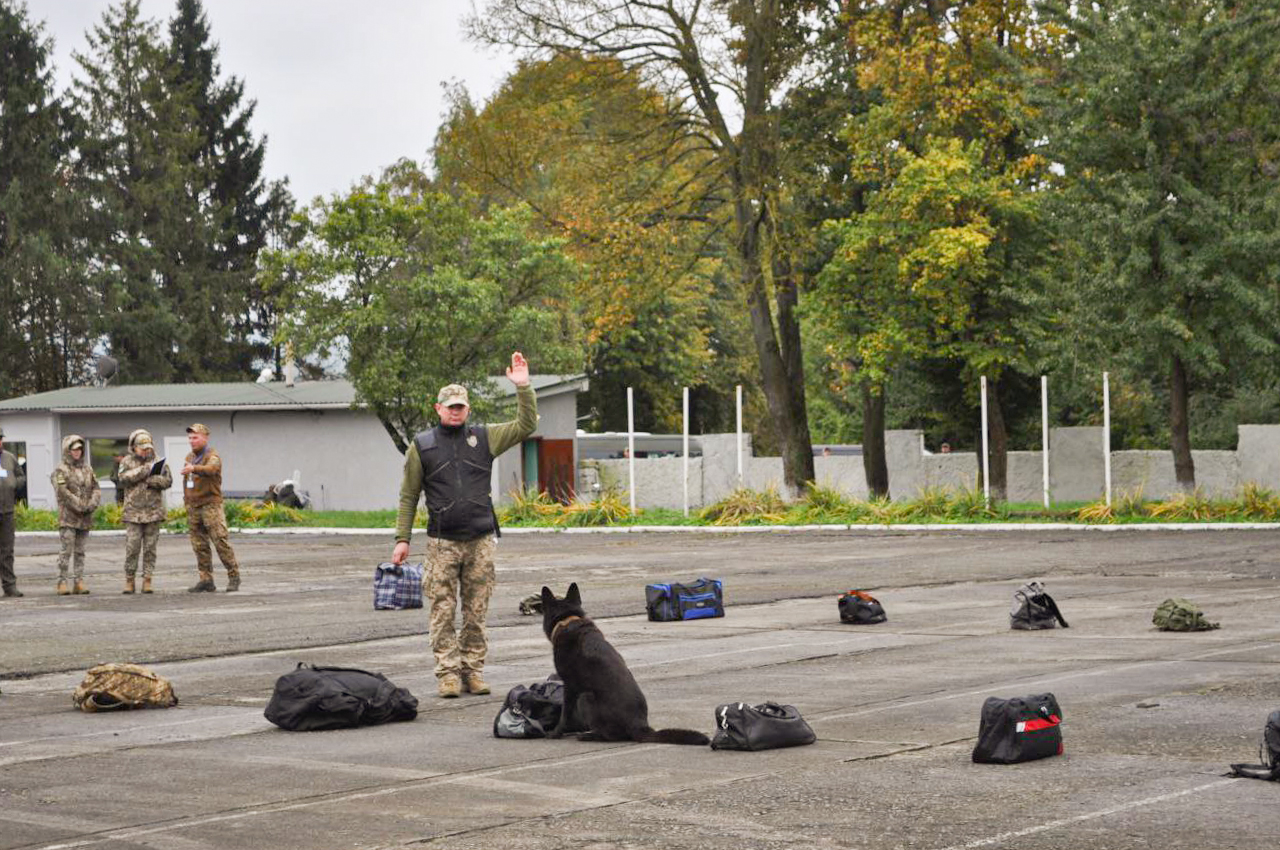 photo_2025-10-10_14-53-25 (2)