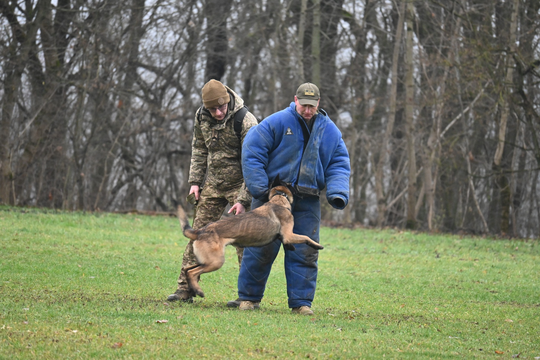 597382946_1389366716534018_2932215972286280503_n