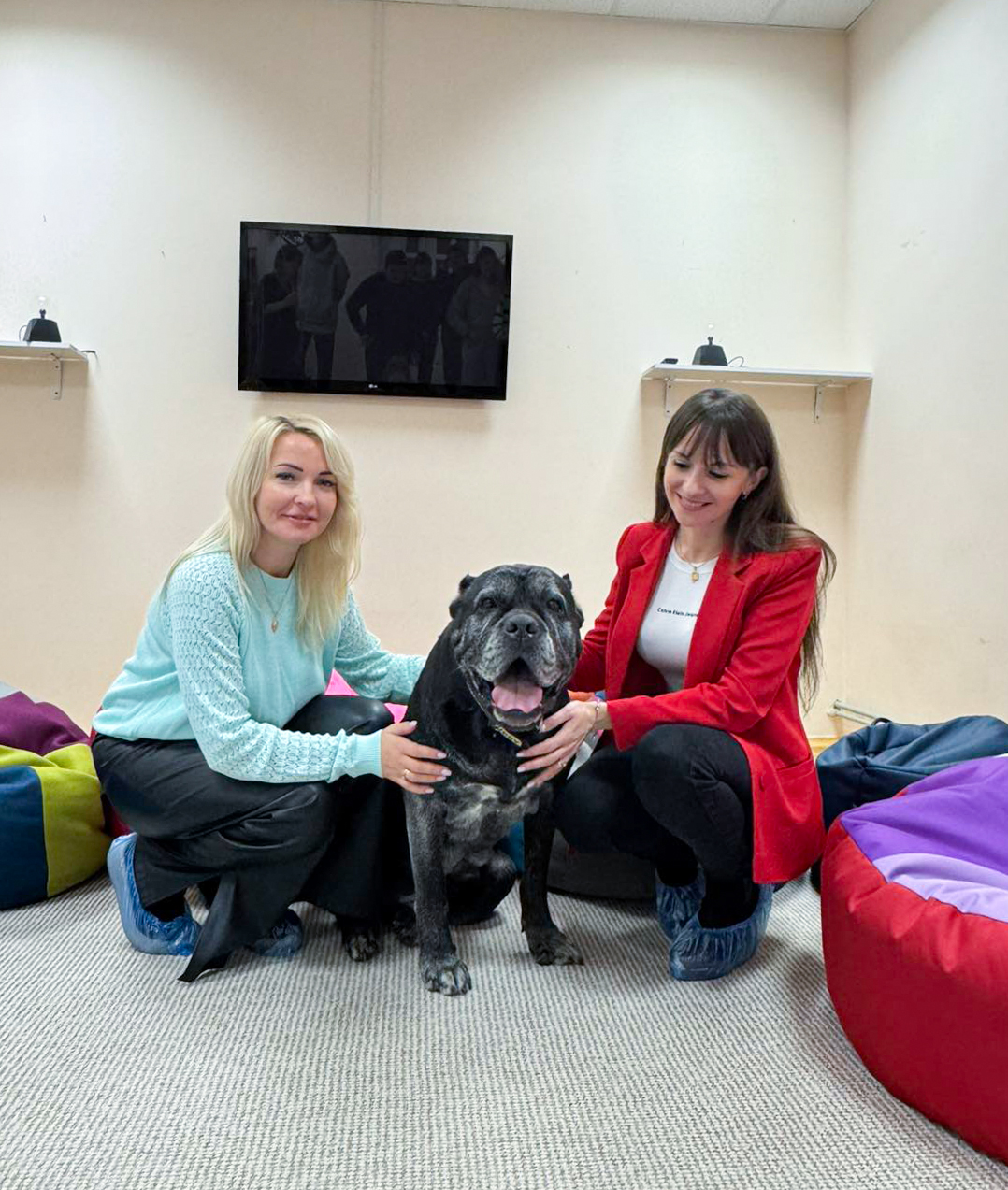 зображення_viber_2025-12-13_23-41-42-669