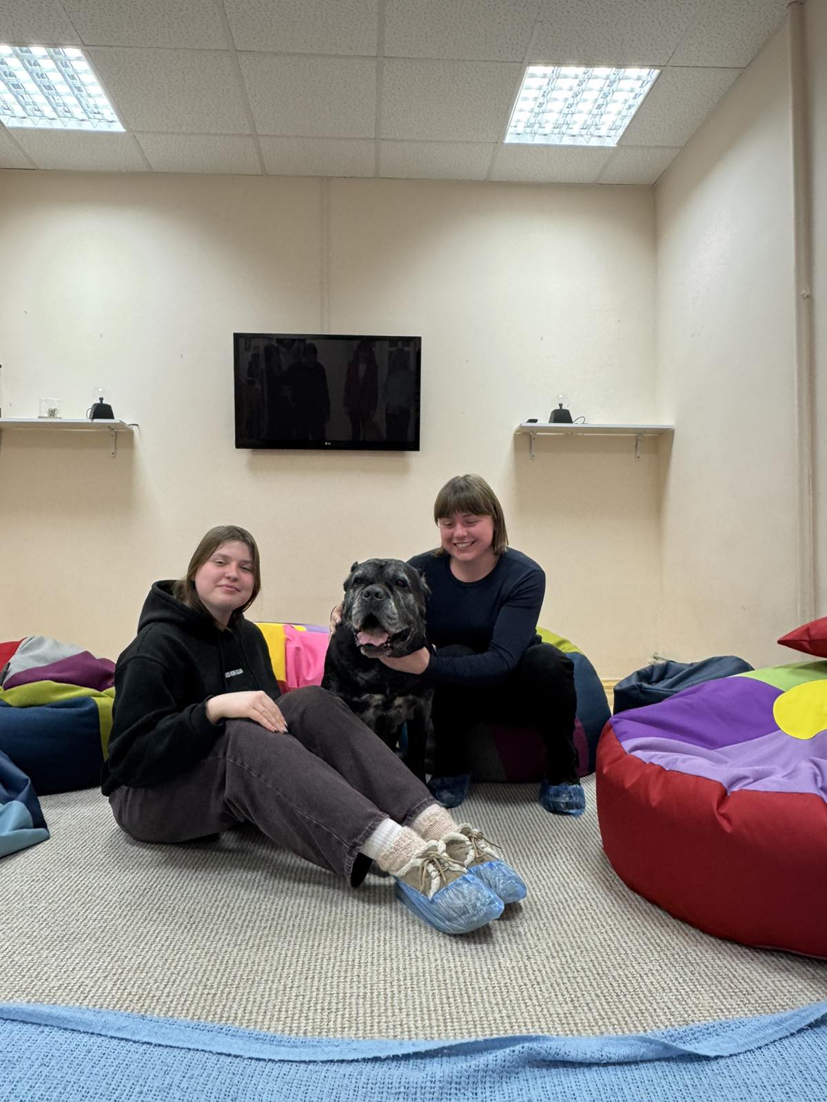 зображення_viber_2025-12-13_23-41-43-166