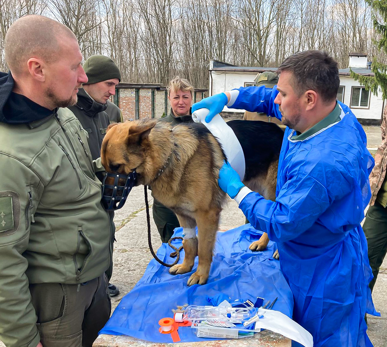 🐕🩺 Практичний тренінг з домедичної допомоги службовим собакам у ПАУ